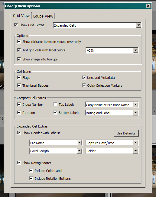 View Options Dialog.PNG